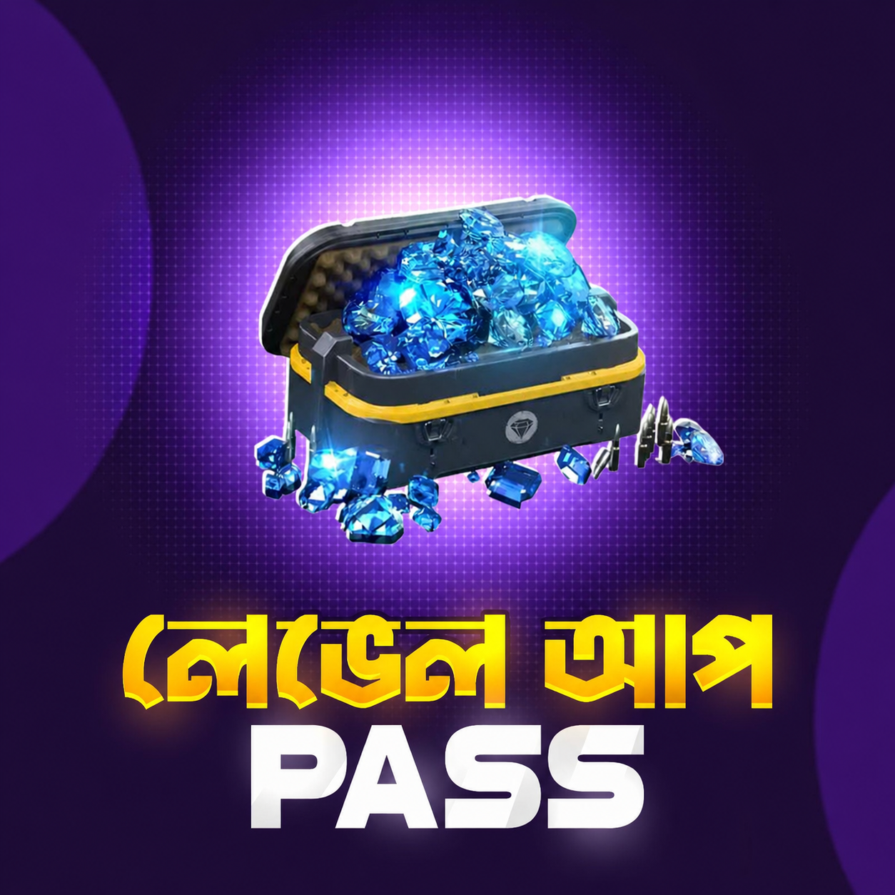 Level Up Pass
